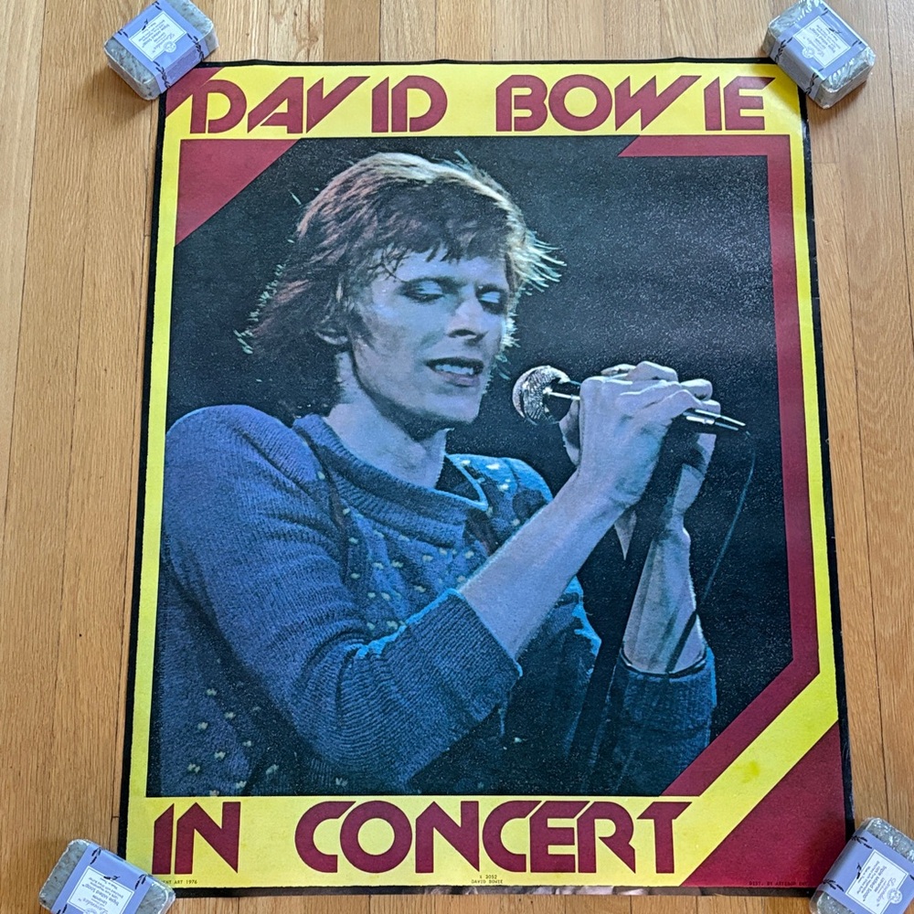 David Bowie In Concert Poster (1976)